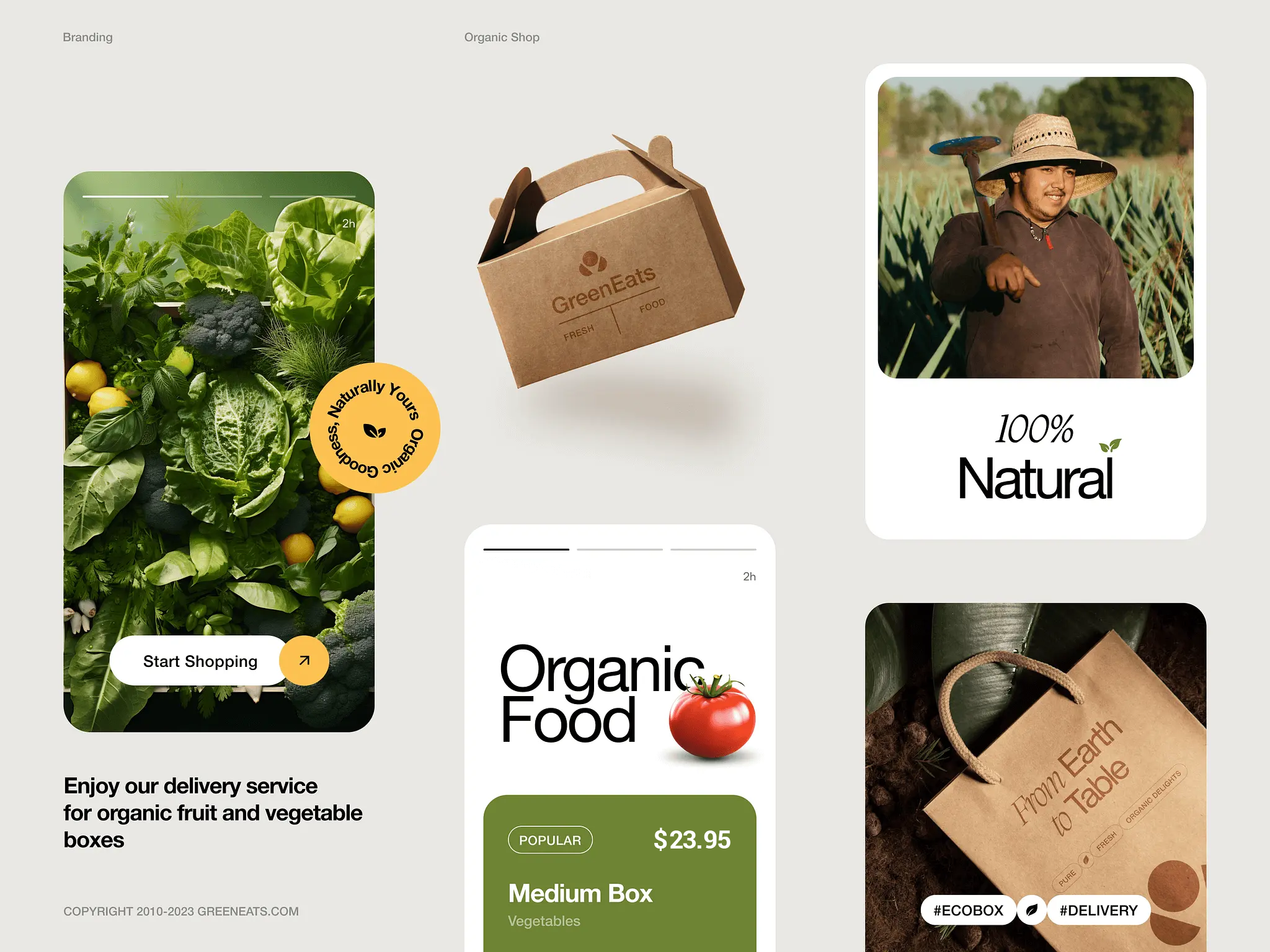 Case study showcasing design and branding work for Organic Eats by Pixelate Digital